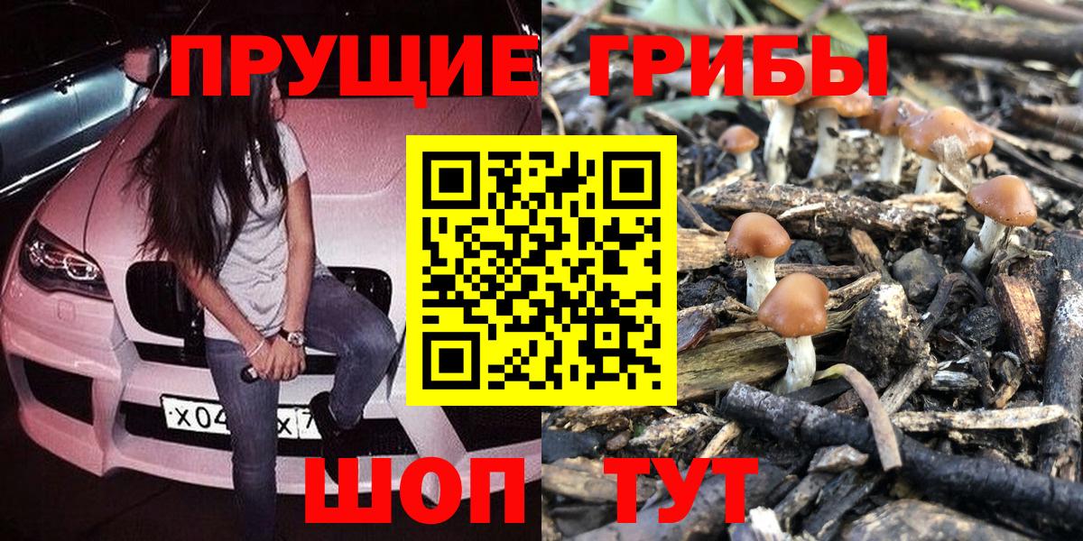 Псилоцибиновые грибы Magic Shrooms  Вход с VPN  Бузулук 