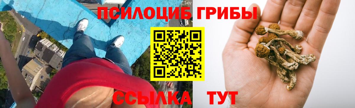 Псилоцибиновые грибы мухоморы Бузулук